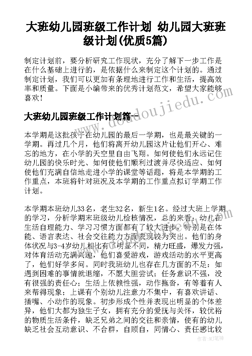 大班幼儿园班级工作计划 幼儿园大班班级计划(优质5篇)