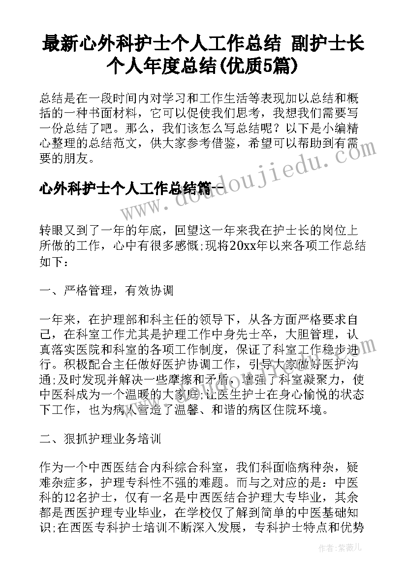 最新心外科护士个人工作总结 副护士长个人年度总结(优质5篇)