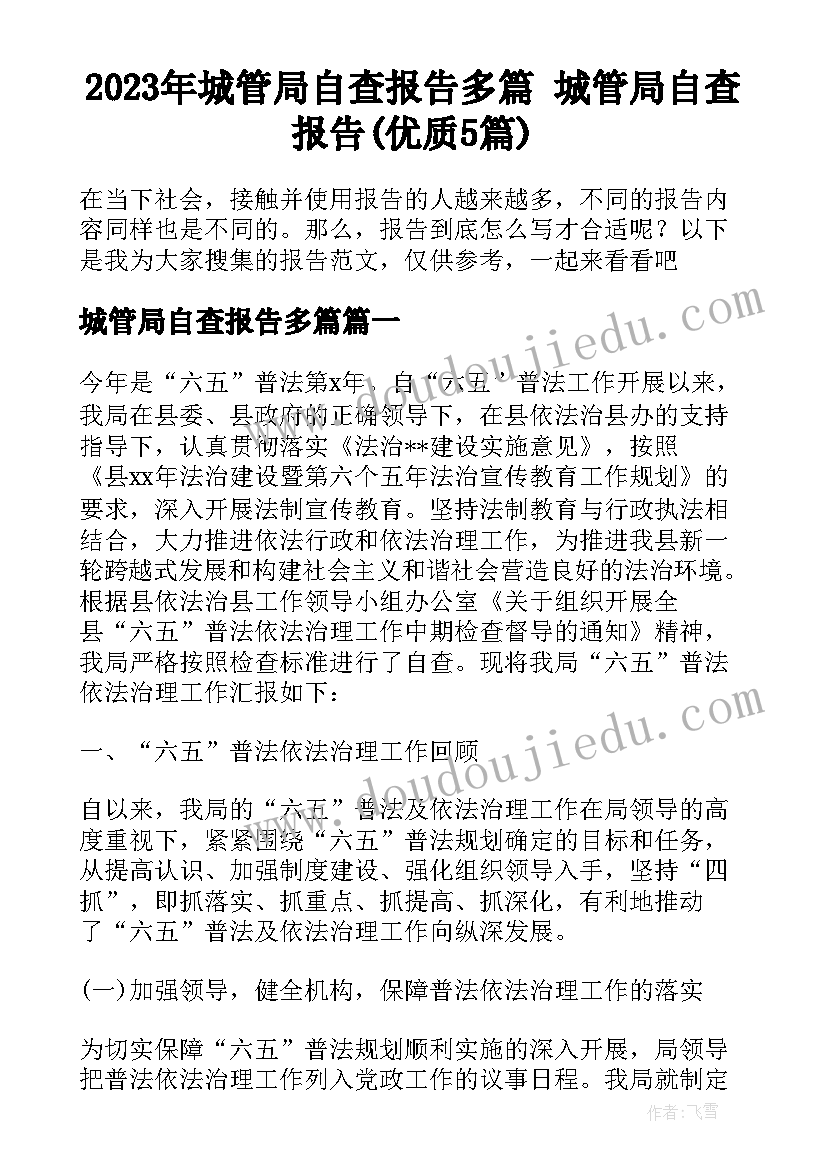 2023年城管局自查报告多篇 城管局自查报告(优质5篇)