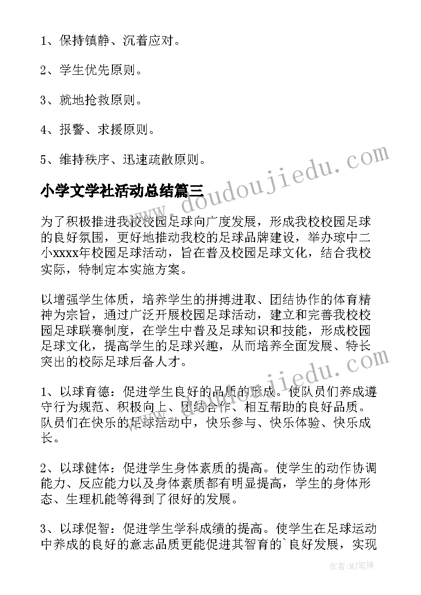 小学文学社活动总结 小学生户外活动方案(模板8篇)