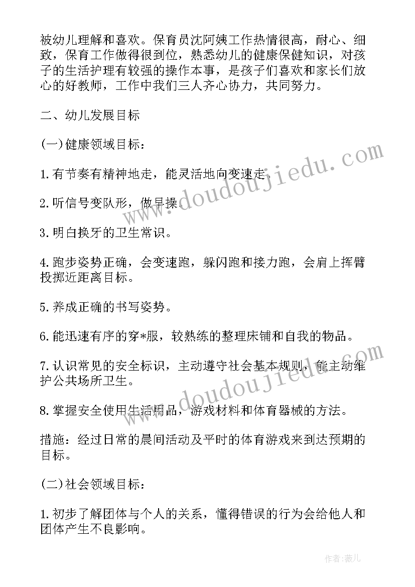 2023年大班班务计划情况分析(精选10篇)