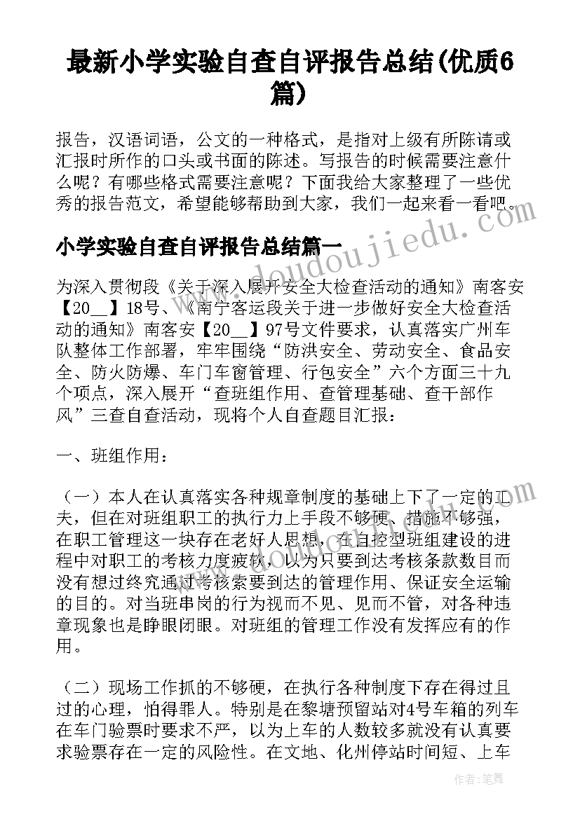 最新小学实验自查自评报告总结(优质6篇)