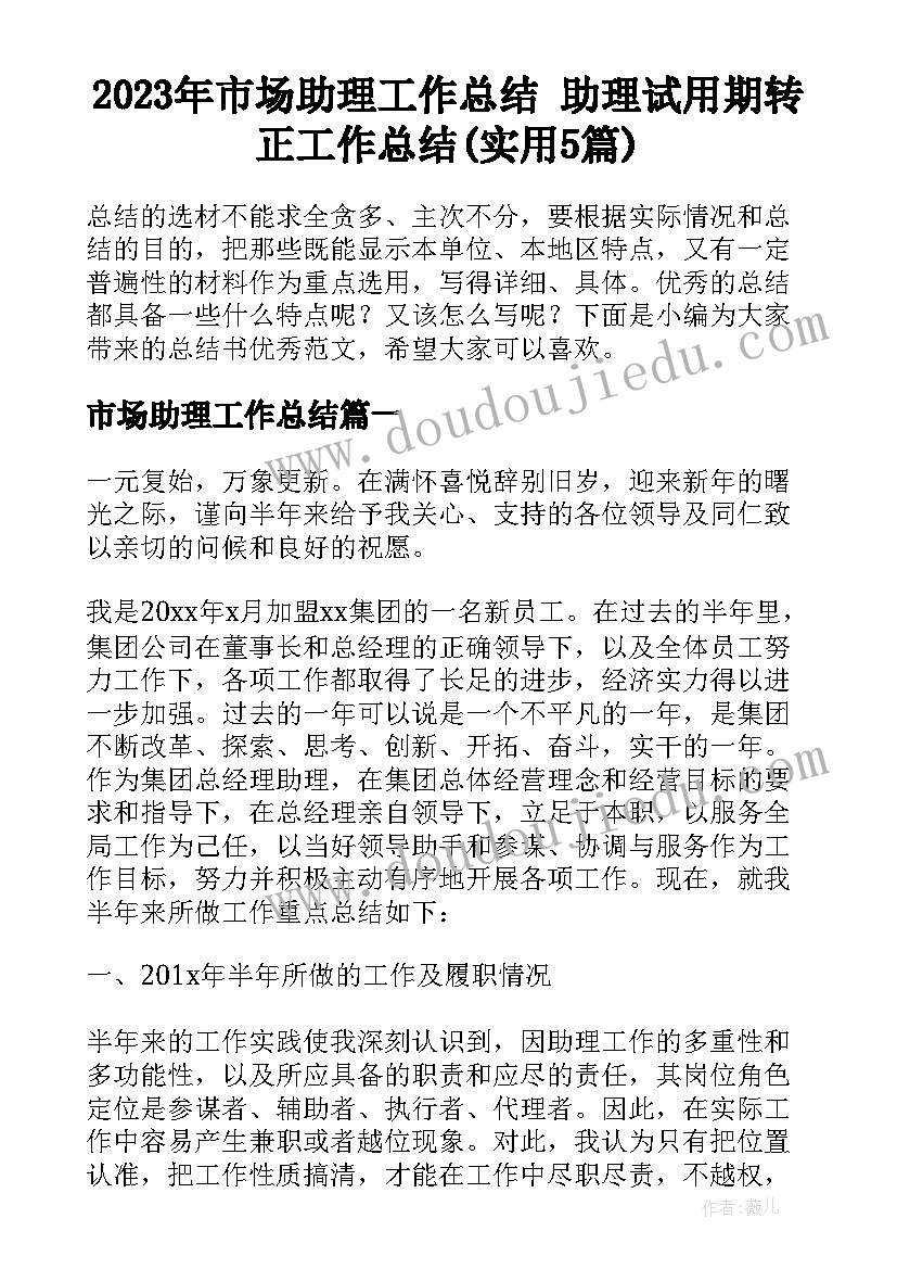 2023年市场助理工作总结 助理试用期转正工作总结(实用5篇)