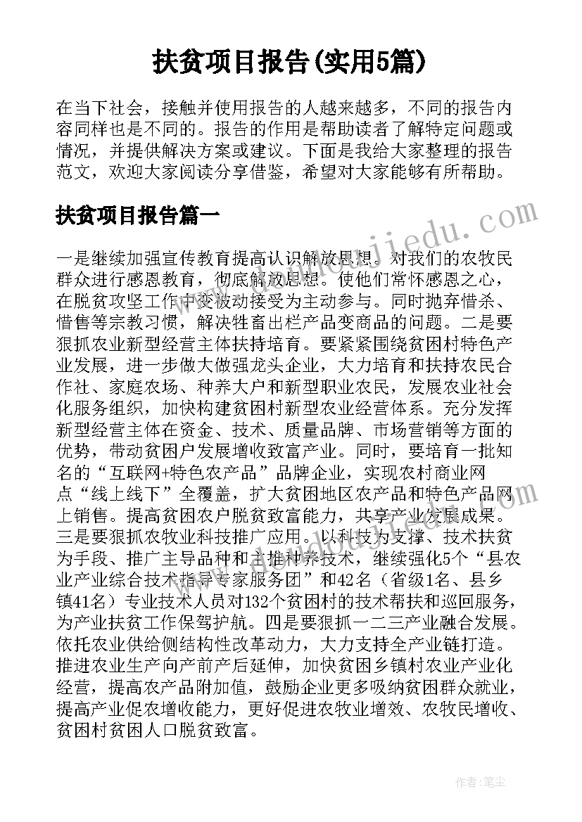 扶贫项目报告(实用5篇)