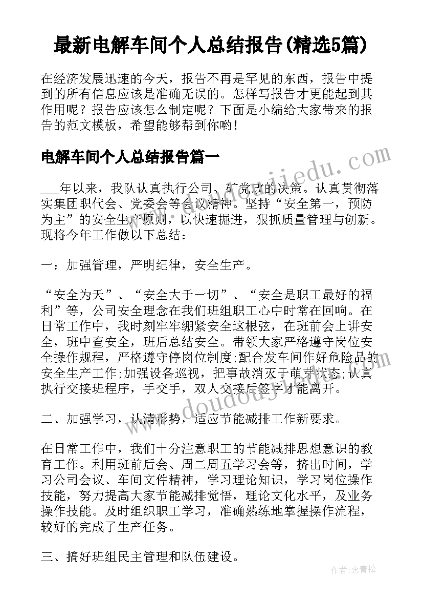 最新电解车间个人总结报告(精选5篇)