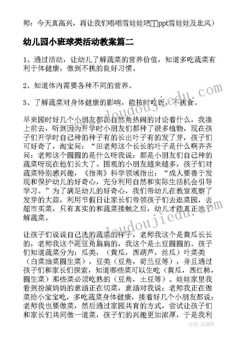 2023年幼儿园小班球类活动教案(大全9篇)