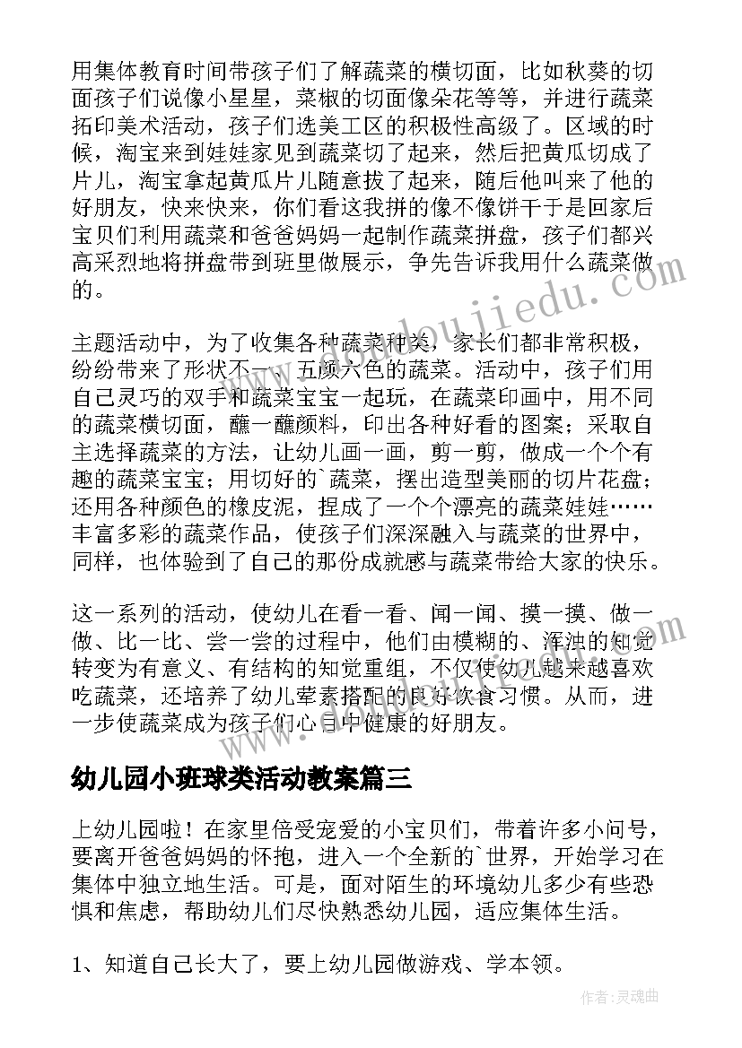 2023年幼儿园小班球类活动教案(大全9篇)