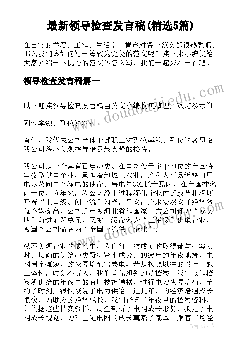 最新领导检查发言稿(精选5篇)