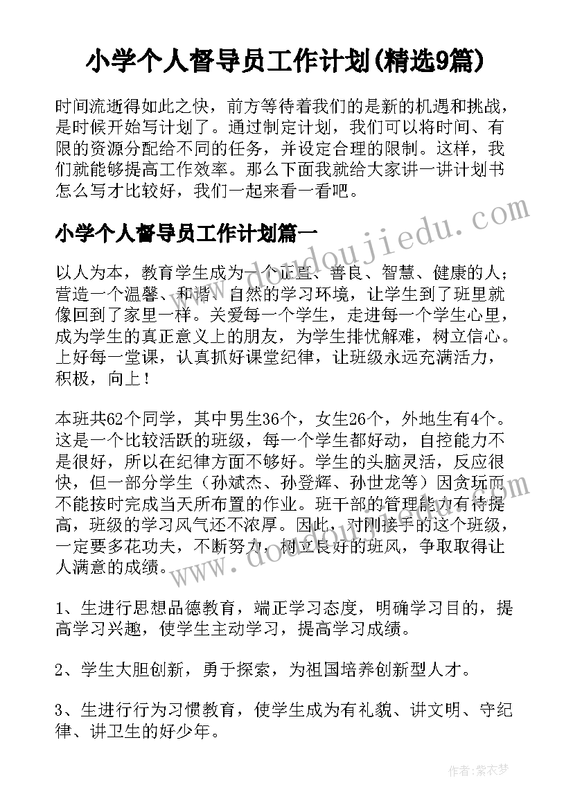 小学个人督导员工作计划(精选9篇)