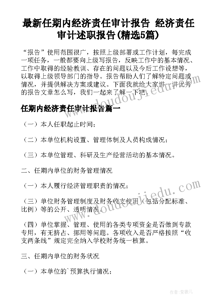 最新任期内经济责任审计报告 经济责任审计述职报告(精选5篇)