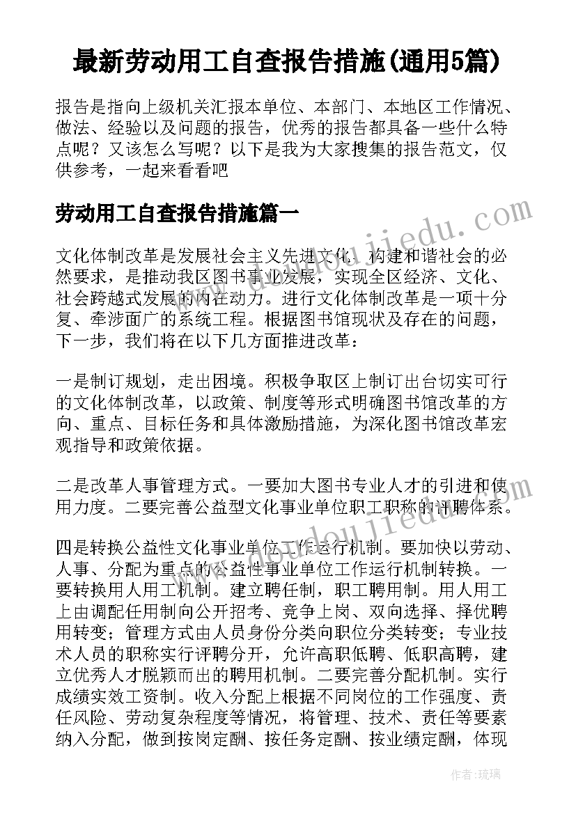 最新劳动用工自查报告措施(通用5篇)