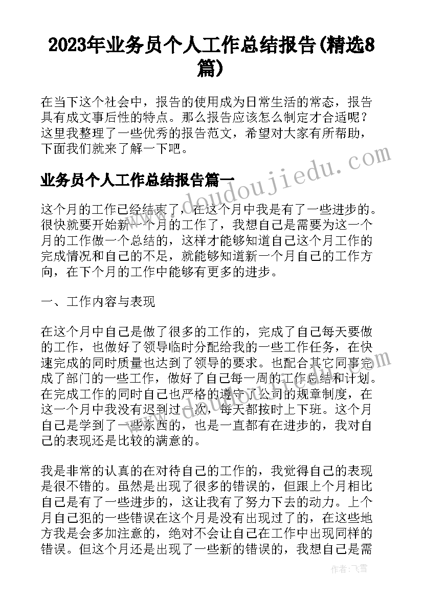 2023年业务员个人工作总结报告(精选8篇)