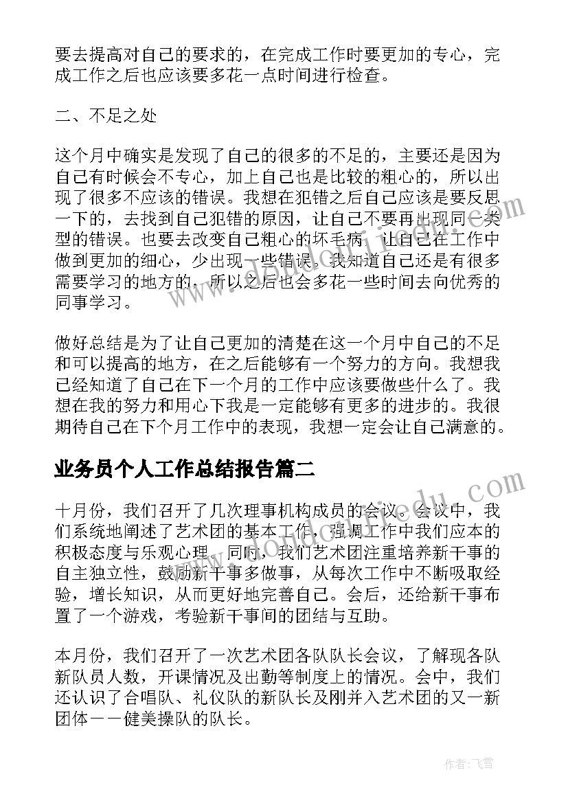 2023年业务员个人工作总结报告(精选8篇)