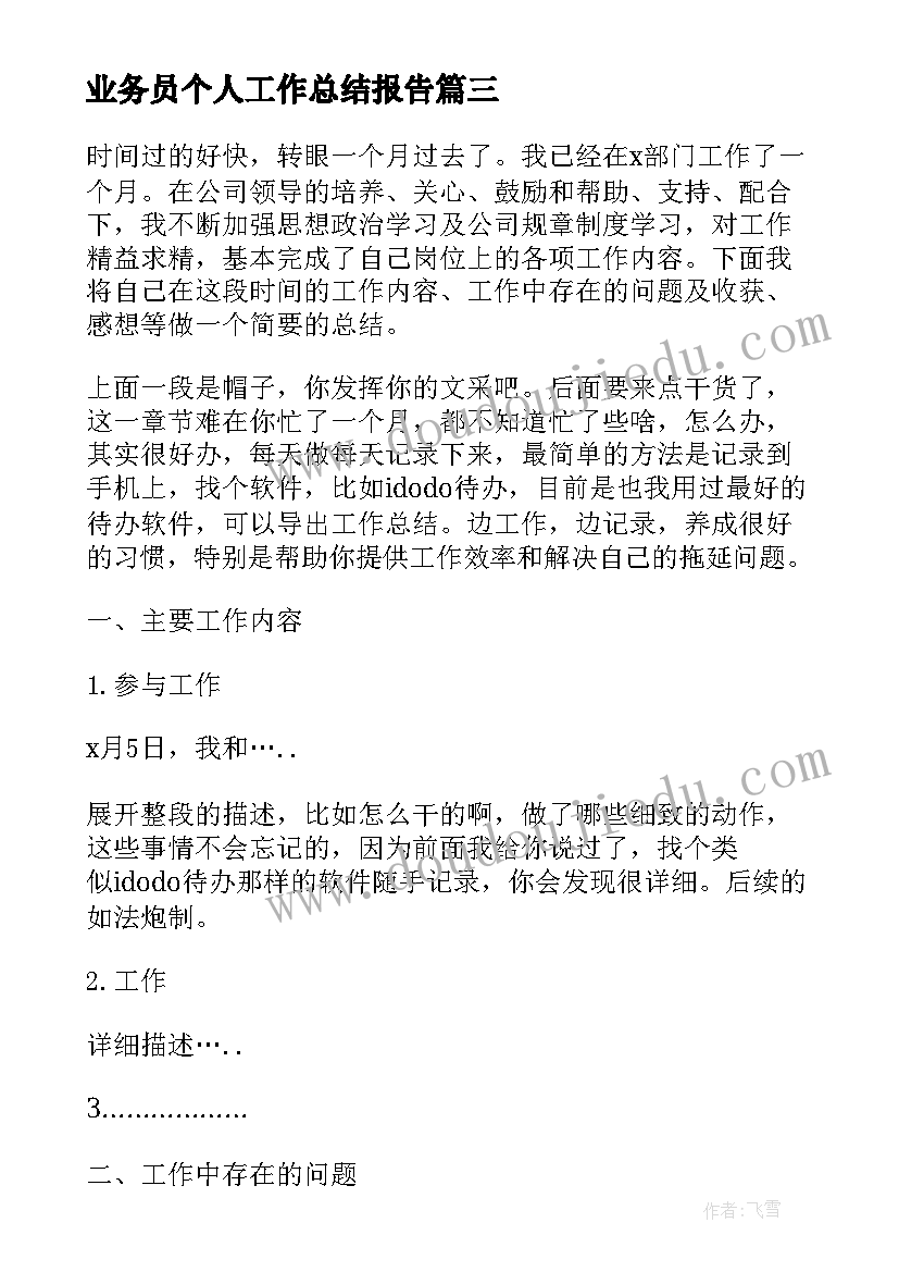 2023年业务员个人工作总结报告(精选8篇)