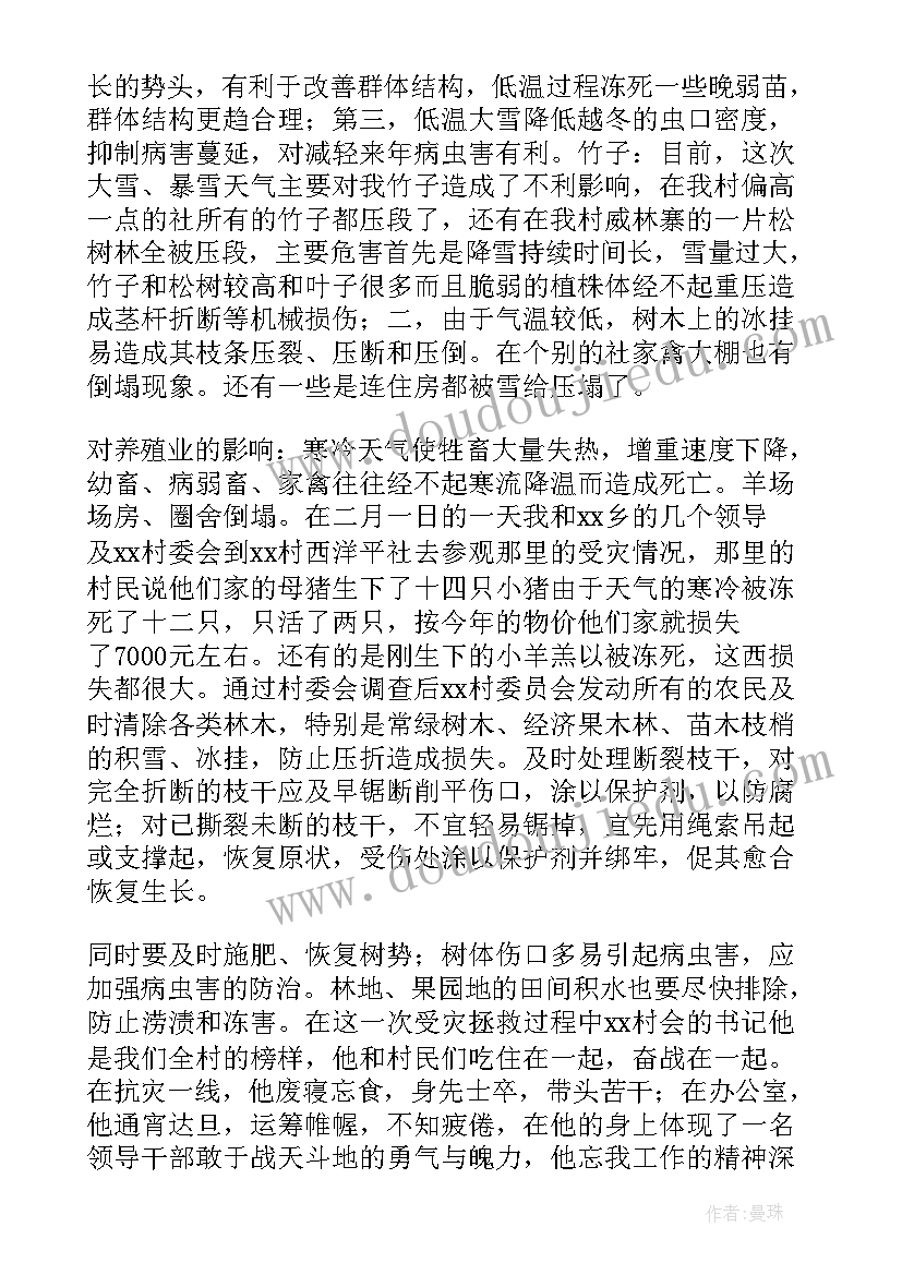 2023年公文报告格式及字体(实用5篇)