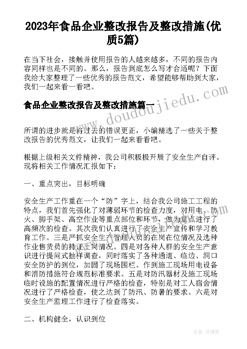 2023年食品企业整改报告及整改措施(优质5篇)