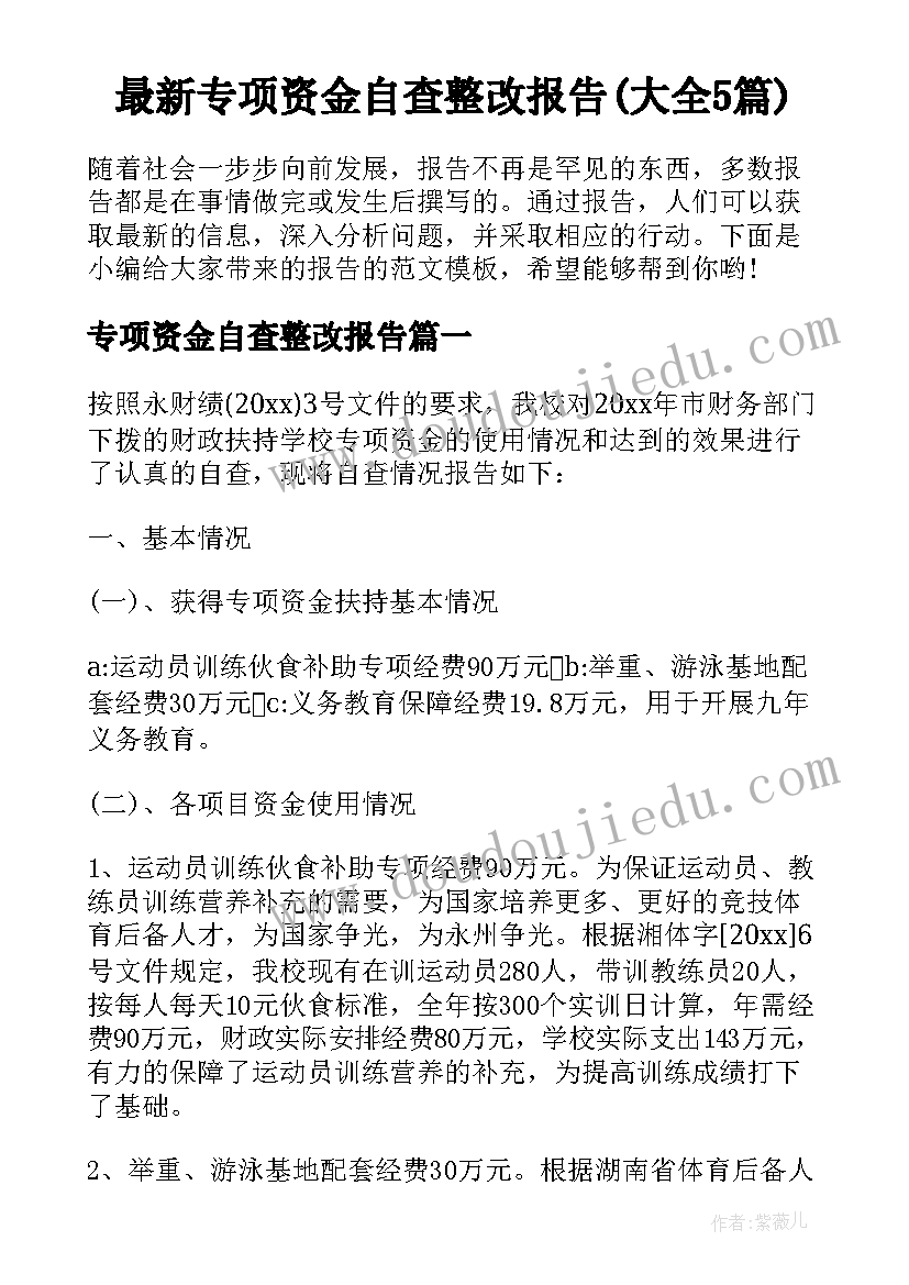 最新专项资金自查整改报告(大全5篇)