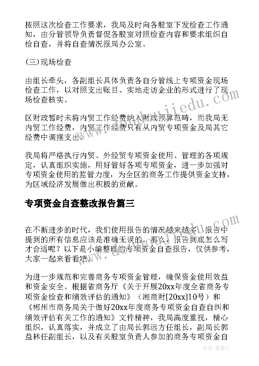 最新专项资金自查整改报告(大全5篇)