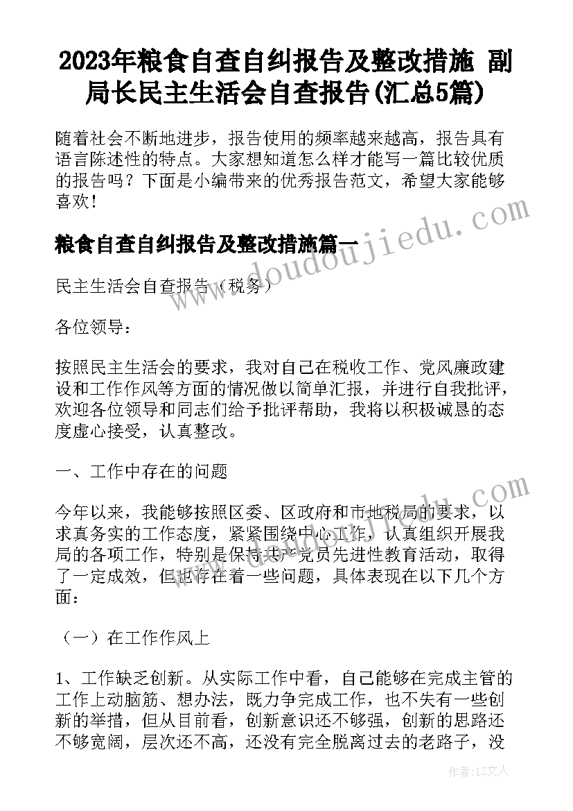 2023年粮食自查自纠报告及整改措施 副局长民主生活会自查报告(汇总5篇)