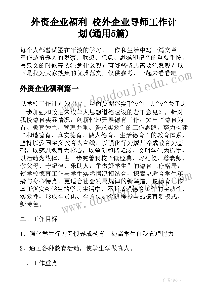 外资企业福利 校外企业导师工作计划(通用5篇)