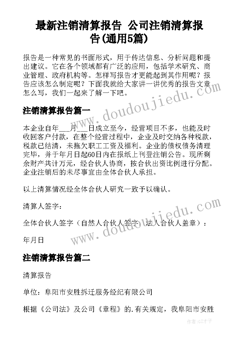 最新注销清算报告 公司注销清算报告(通用5篇)