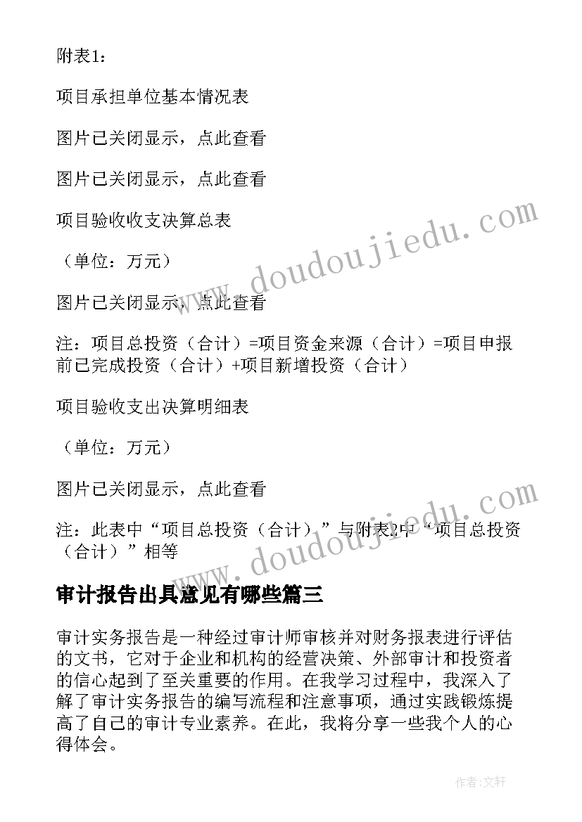 2023年审计报告出具意见有哪些(优质9篇)