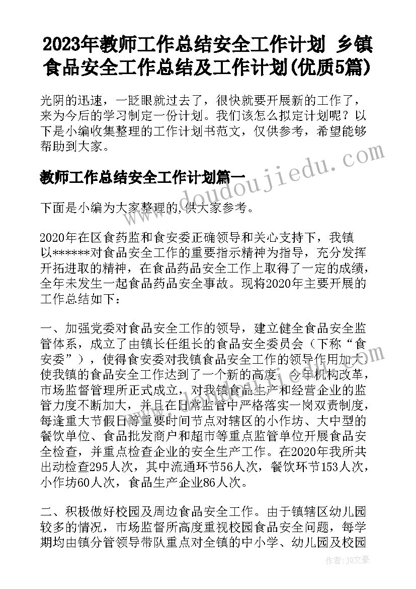 2023年教师工作总结安全工作计划 乡镇食品安全工作总结及工作计划(优质5篇)