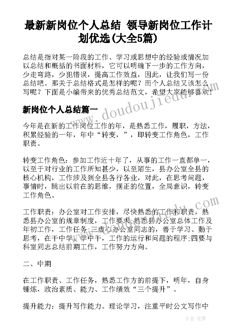 最新新岗位个人总结 领导新岗位工作计划优选(大全5篇)