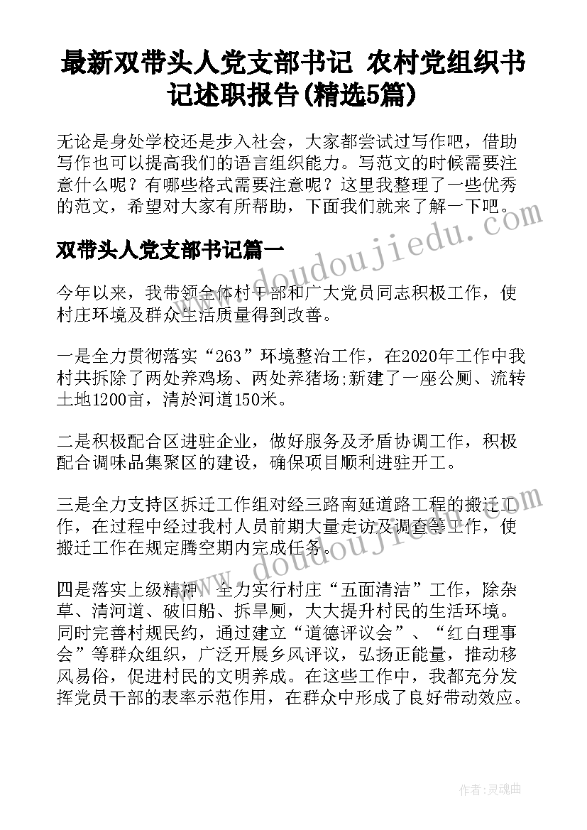 最新双带头人党支部书记 农村党组织书记述职报告(精选5篇)