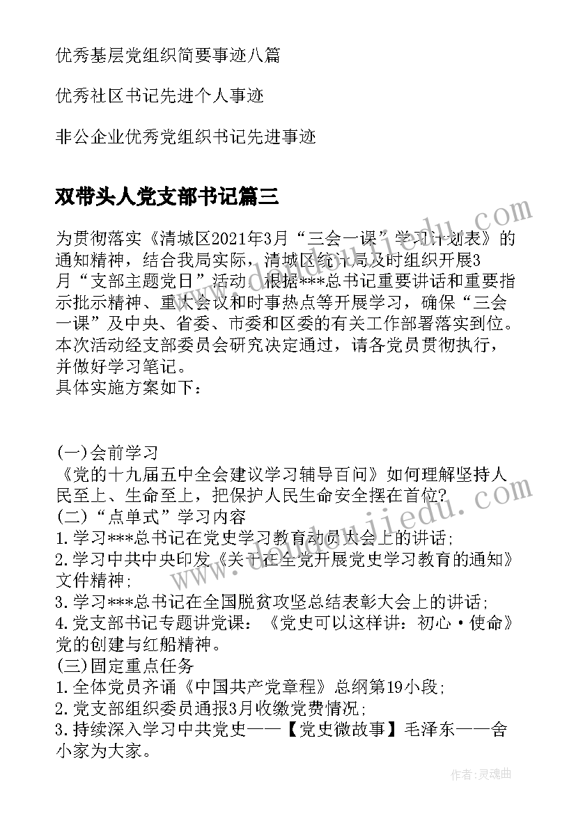 最新双带头人党支部书记 农村党组织书记述职报告(精选5篇)