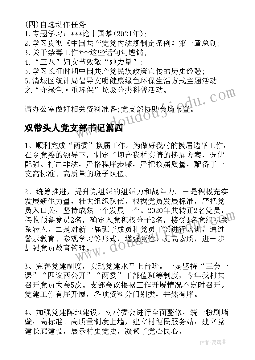 最新双带头人党支部书记 农村党组织书记述职报告(精选5篇)