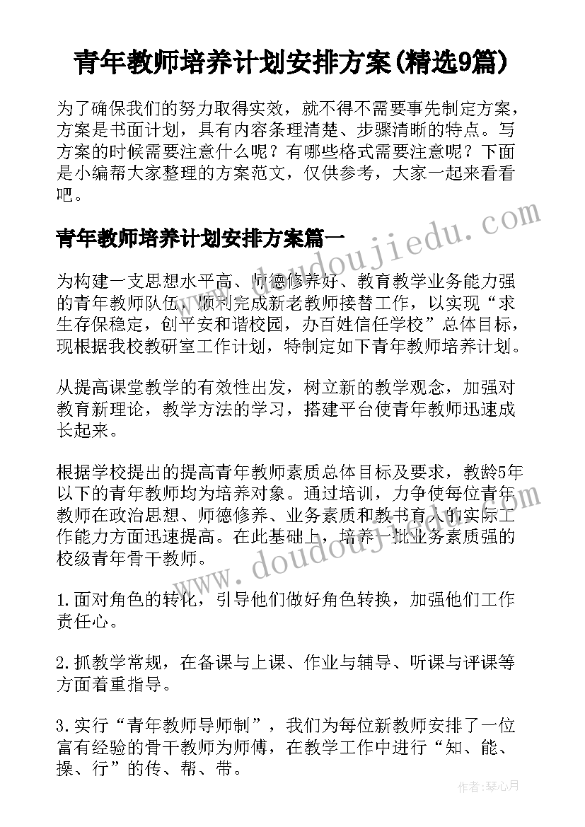 青年教师培养计划安排方案(精选9篇)