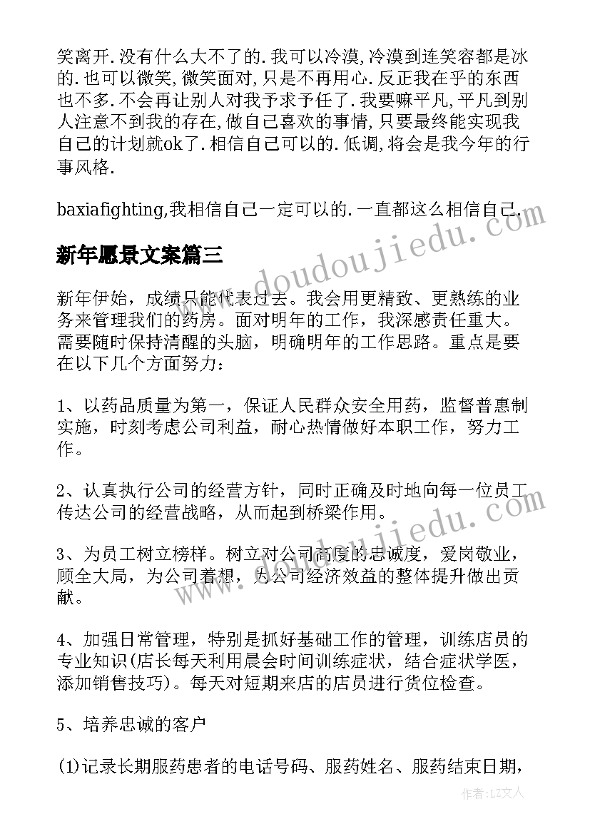 最新新年愿景文案(通用9篇)