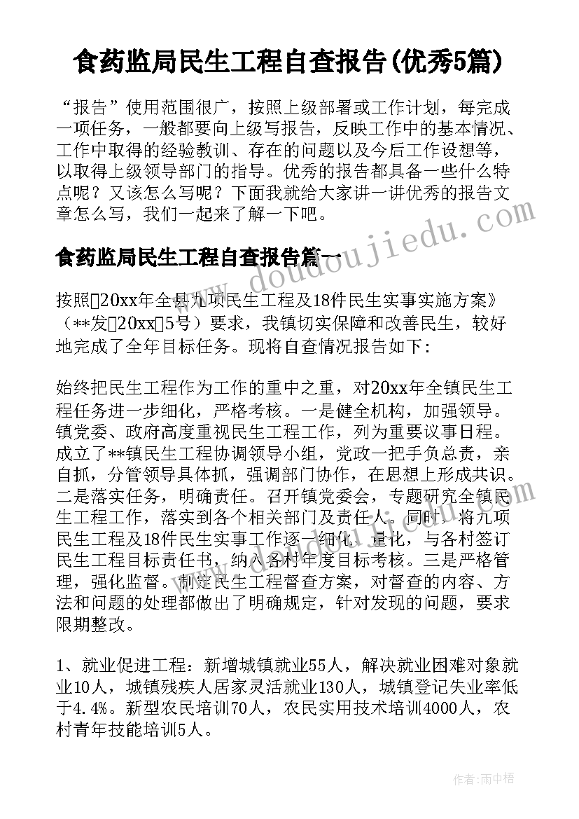 食药监局民生工程自查报告(优秀5篇)