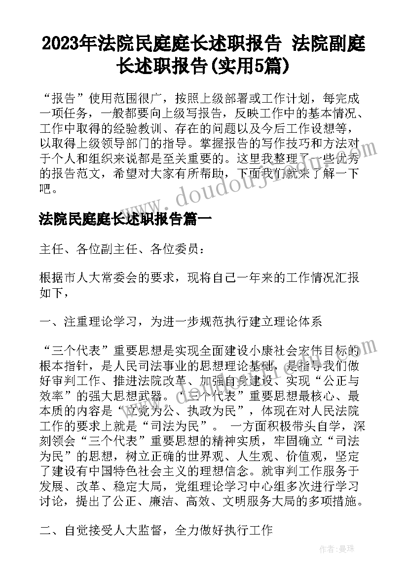 2023年法院民庭庭长述职报告 法院副庭长述职报告(实用5篇)