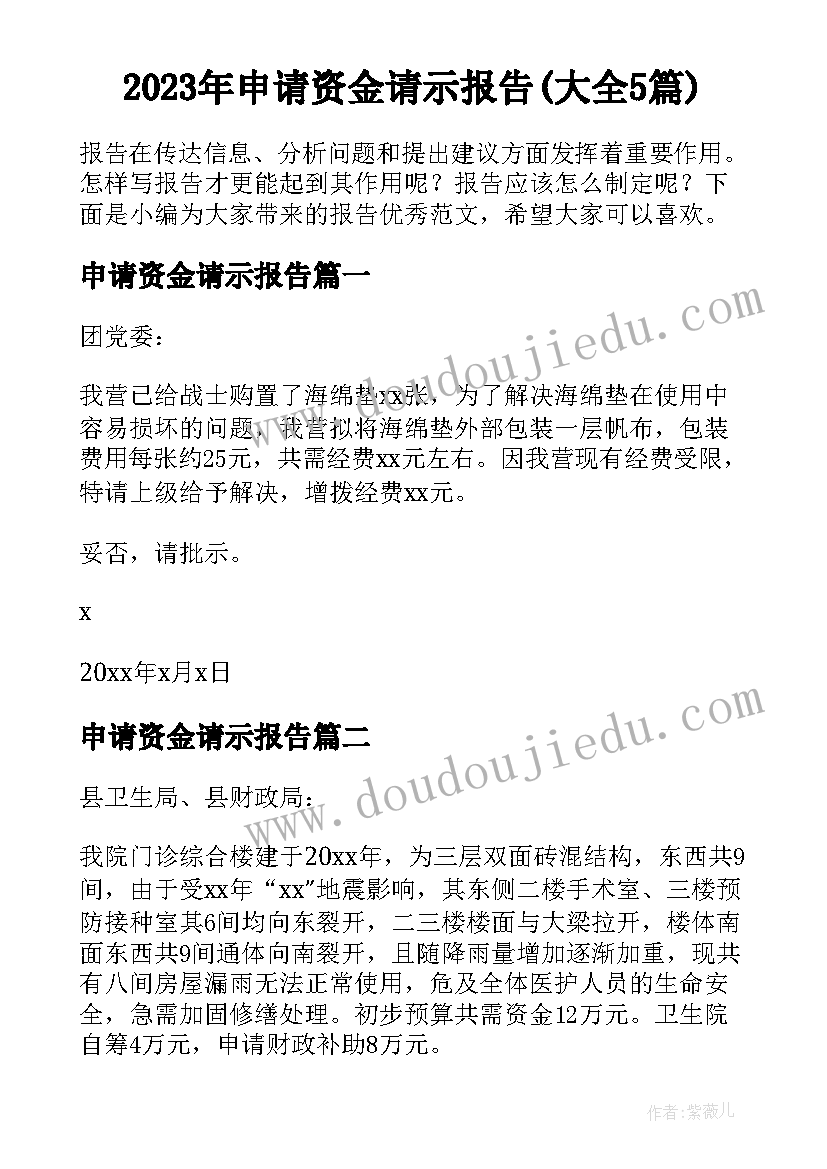 2023年申请资金请示报告(大全5篇)