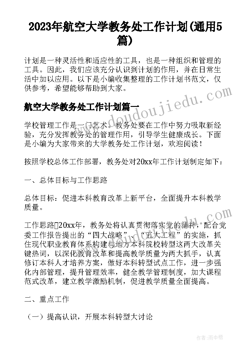 2023年航空大学教务处工作计划(通用5篇)