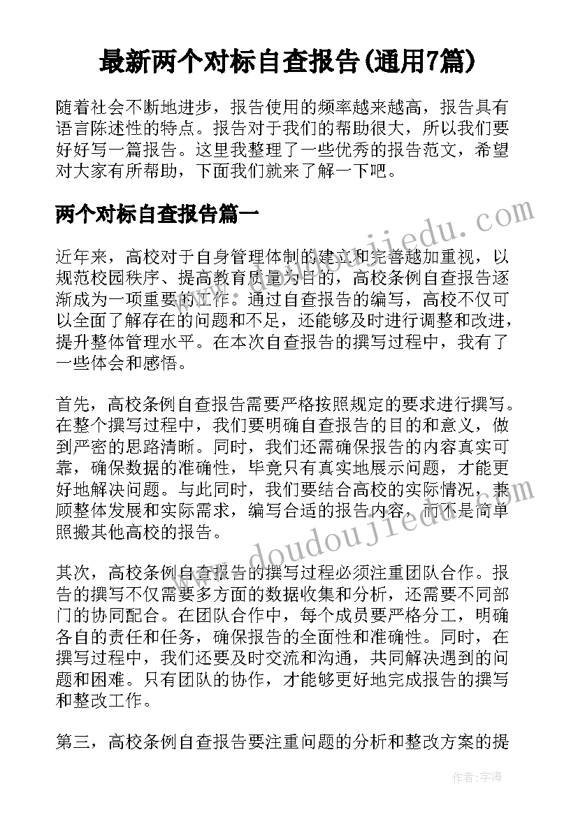 最新两个对标自查报告(通用7篇)