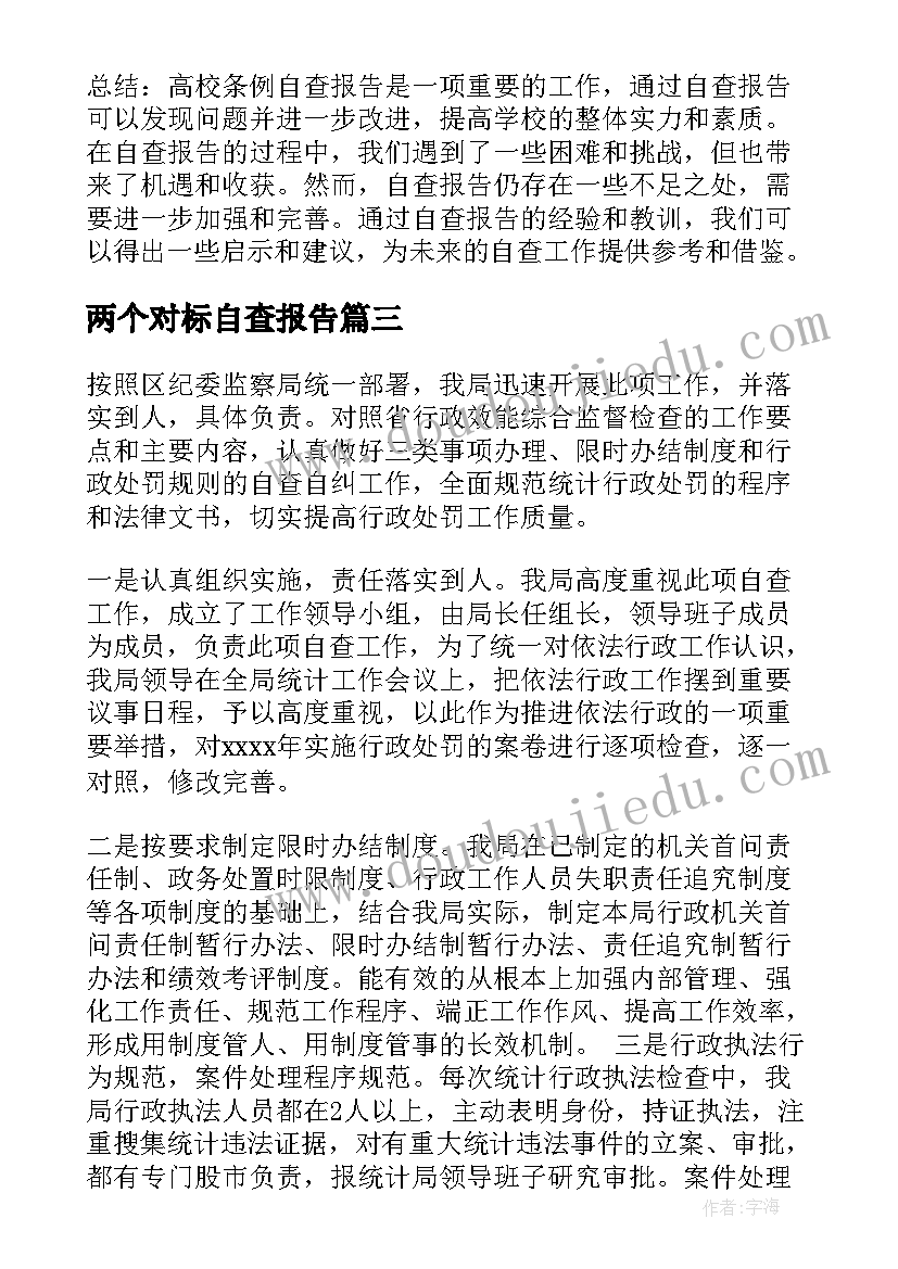 最新两个对标自查报告(通用7篇)