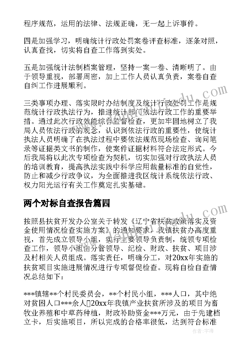 最新两个对标自查报告(通用7篇)