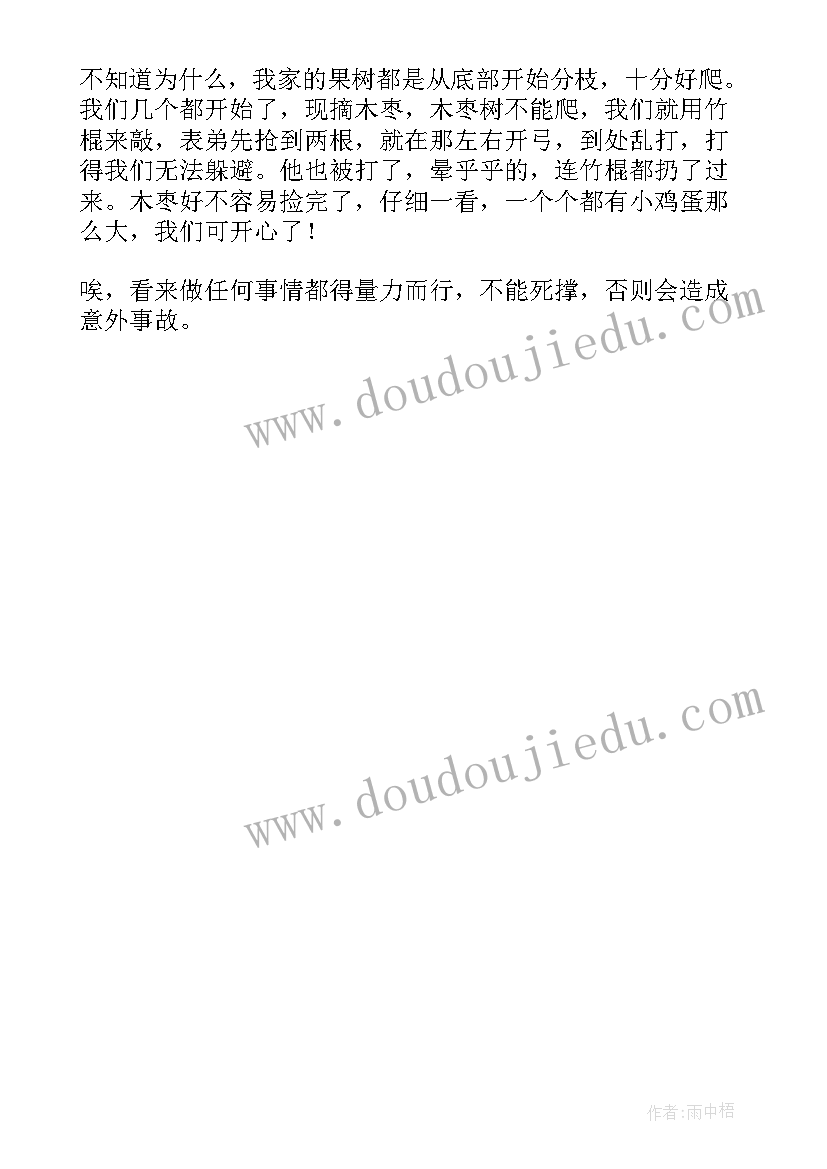 2023年水果拼盘教学反思 摘水果教学反思(通用5篇)