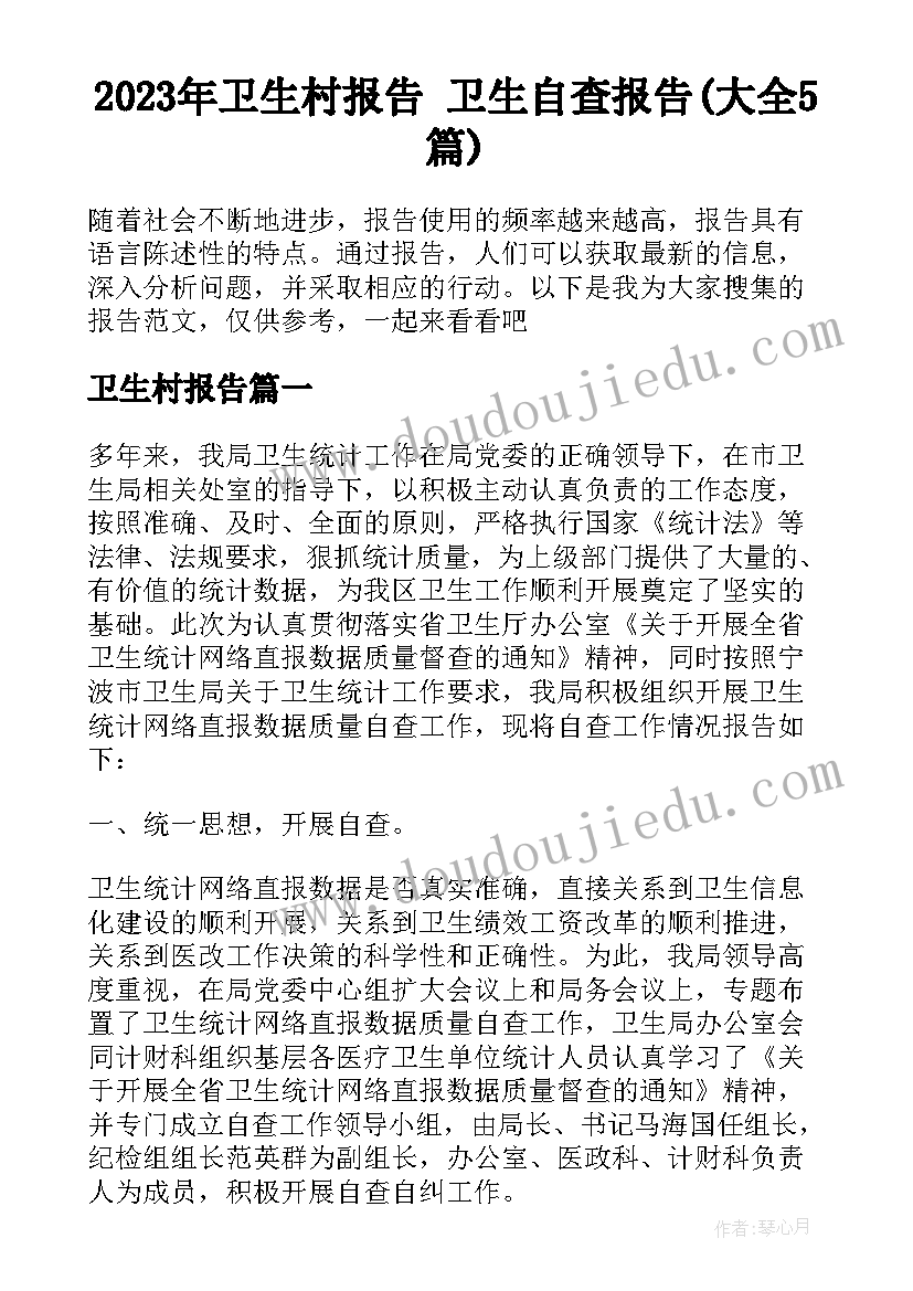 2023年卫生村报告 卫生自查报告(大全5篇)