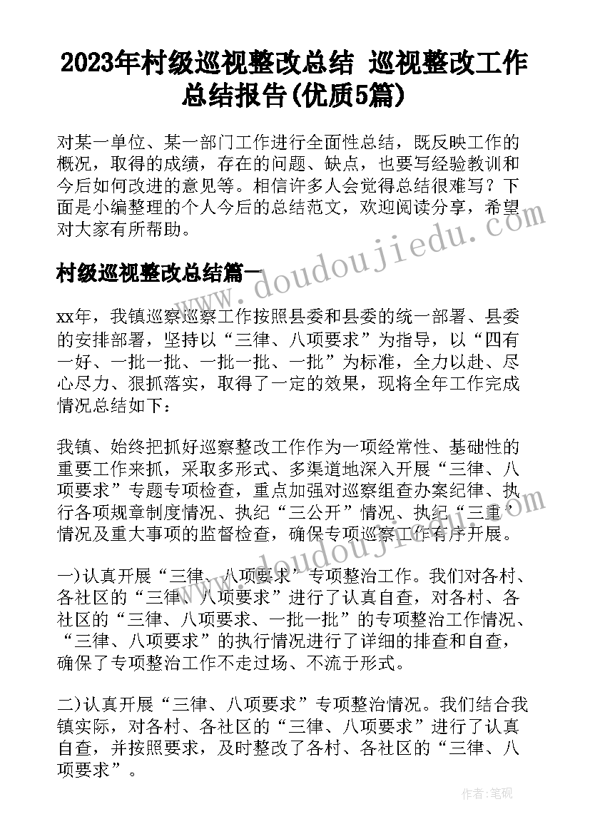 2023年村级巡视整改总结 巡视整改工作总结报告(优质5篇)