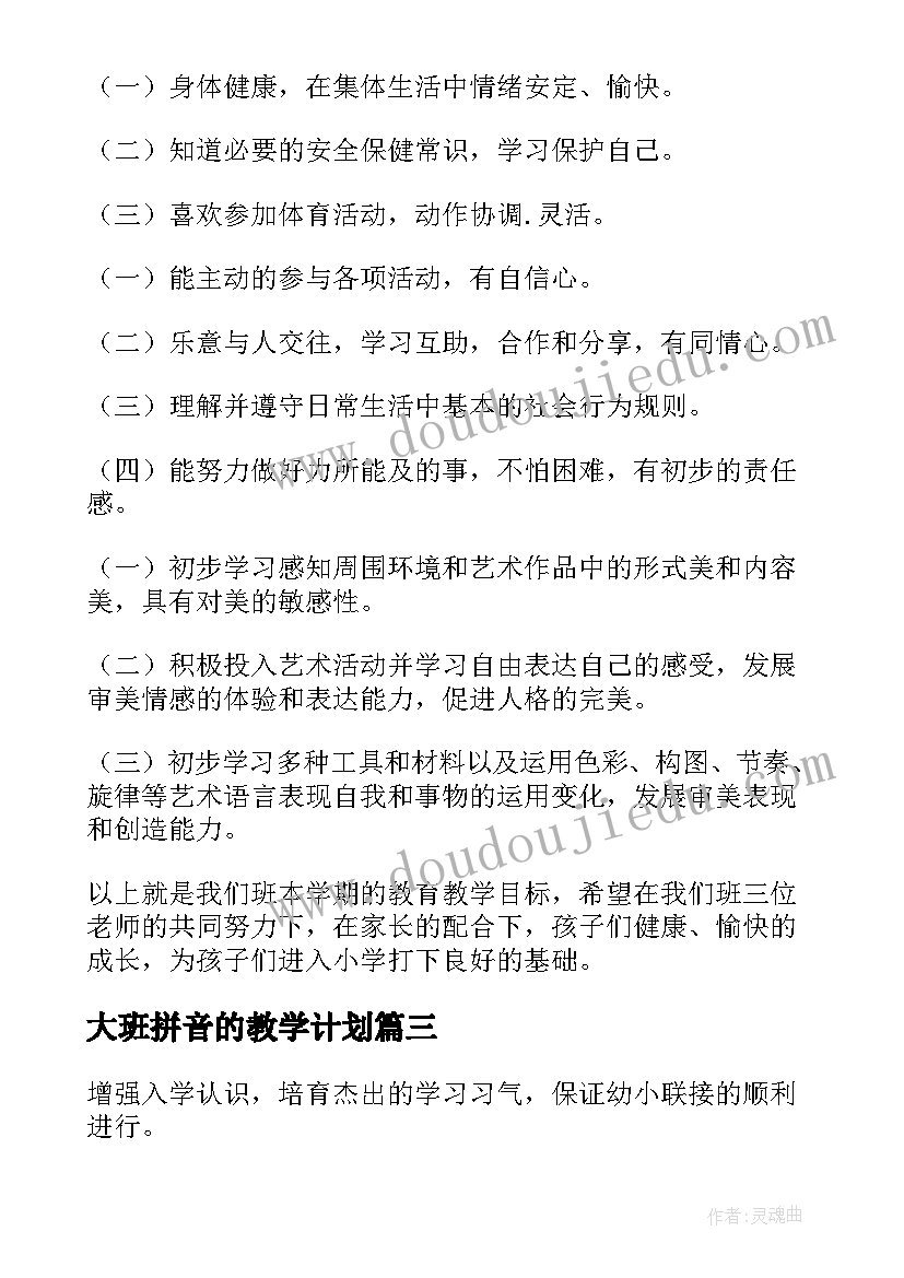 2023年大班拼音的教学计划 大班教育教学计划(优质7篇)