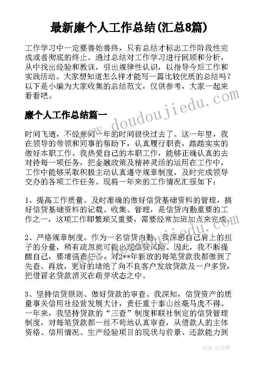 最新廉个人工作总结(汇总8篇)