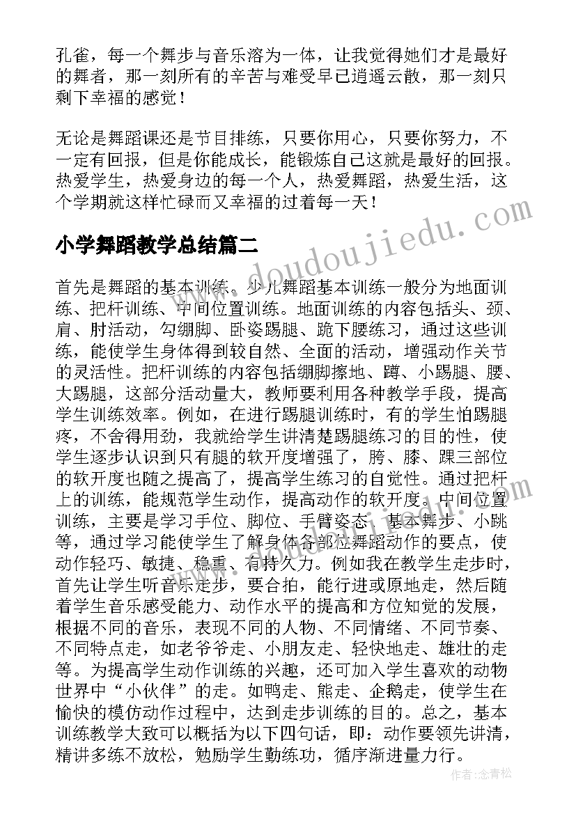 2023年小学舞蹈教学总结(优秀5篇)