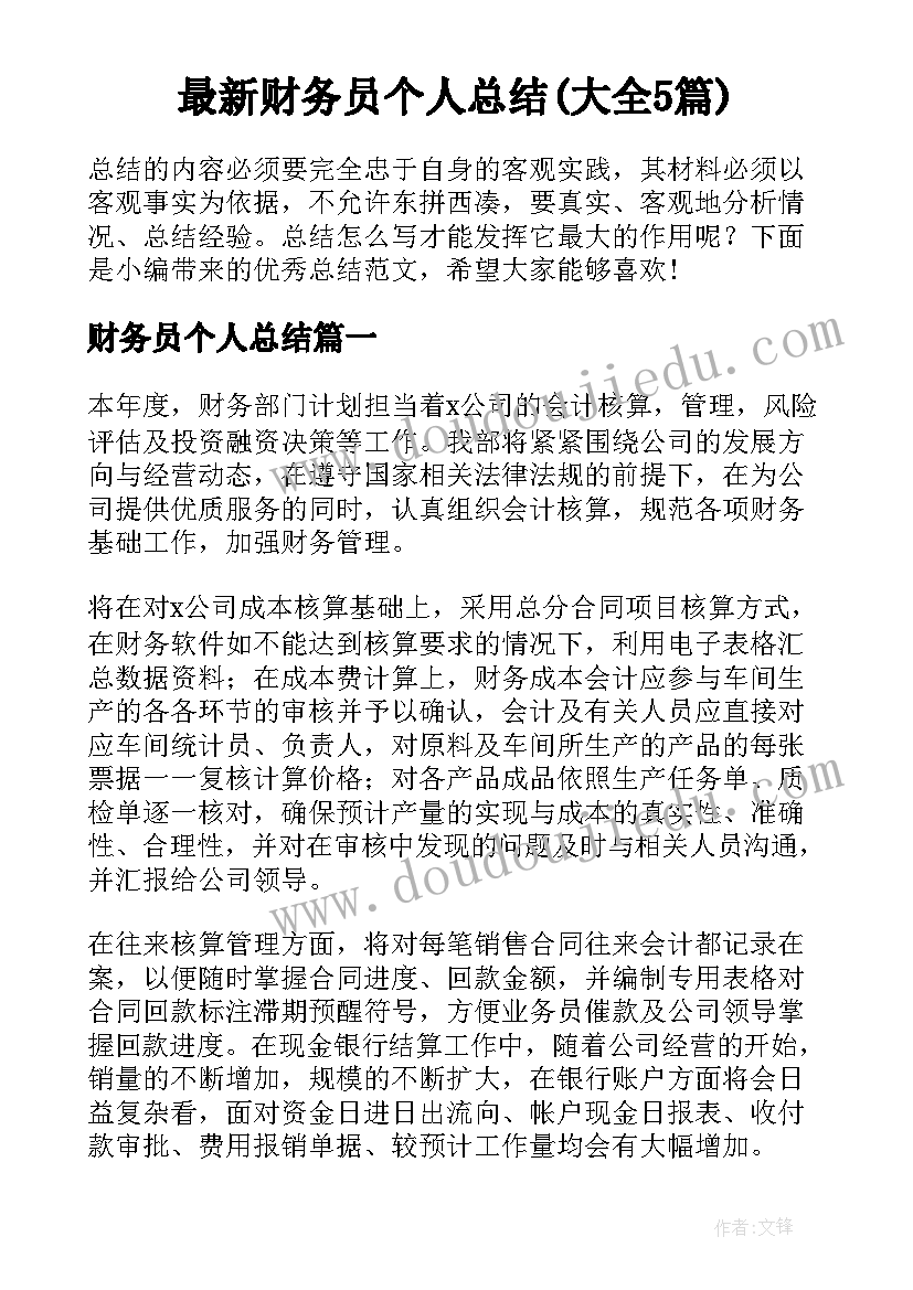 最新财务员个人总结(大全5篇)