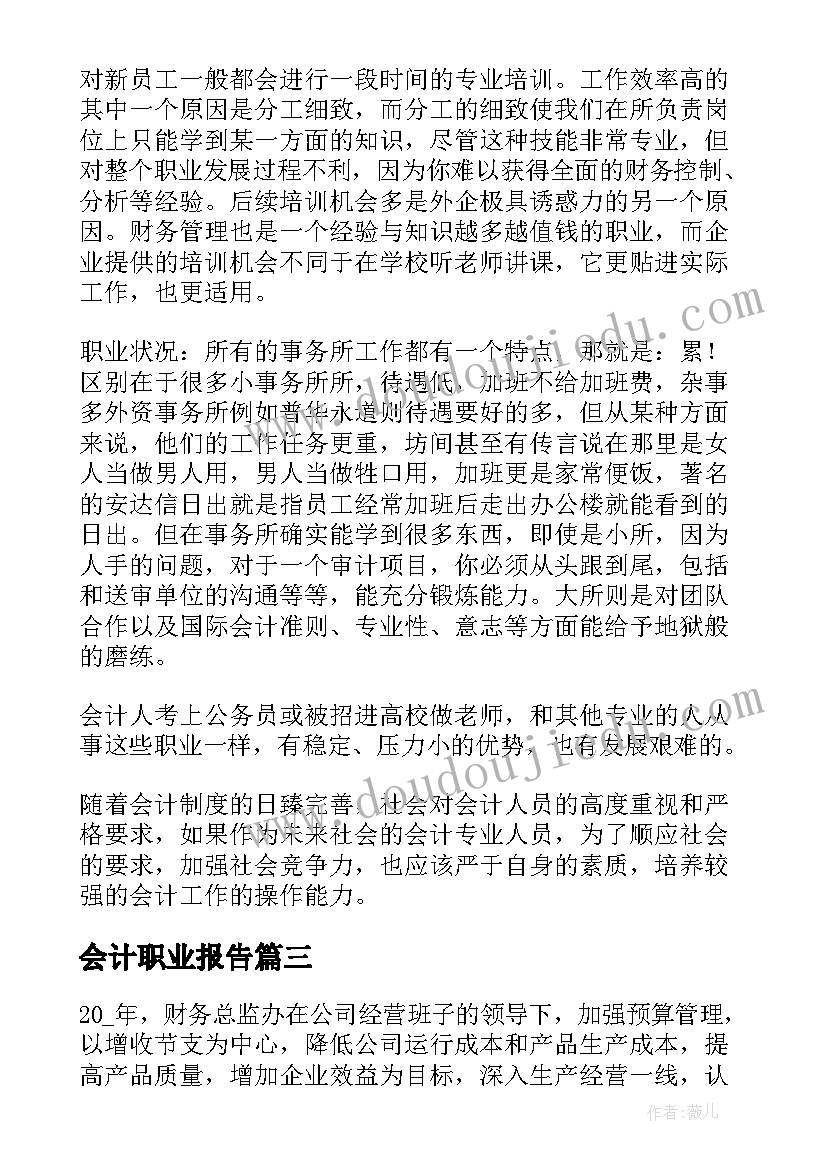 2023年会计职业报告(模板10篇)