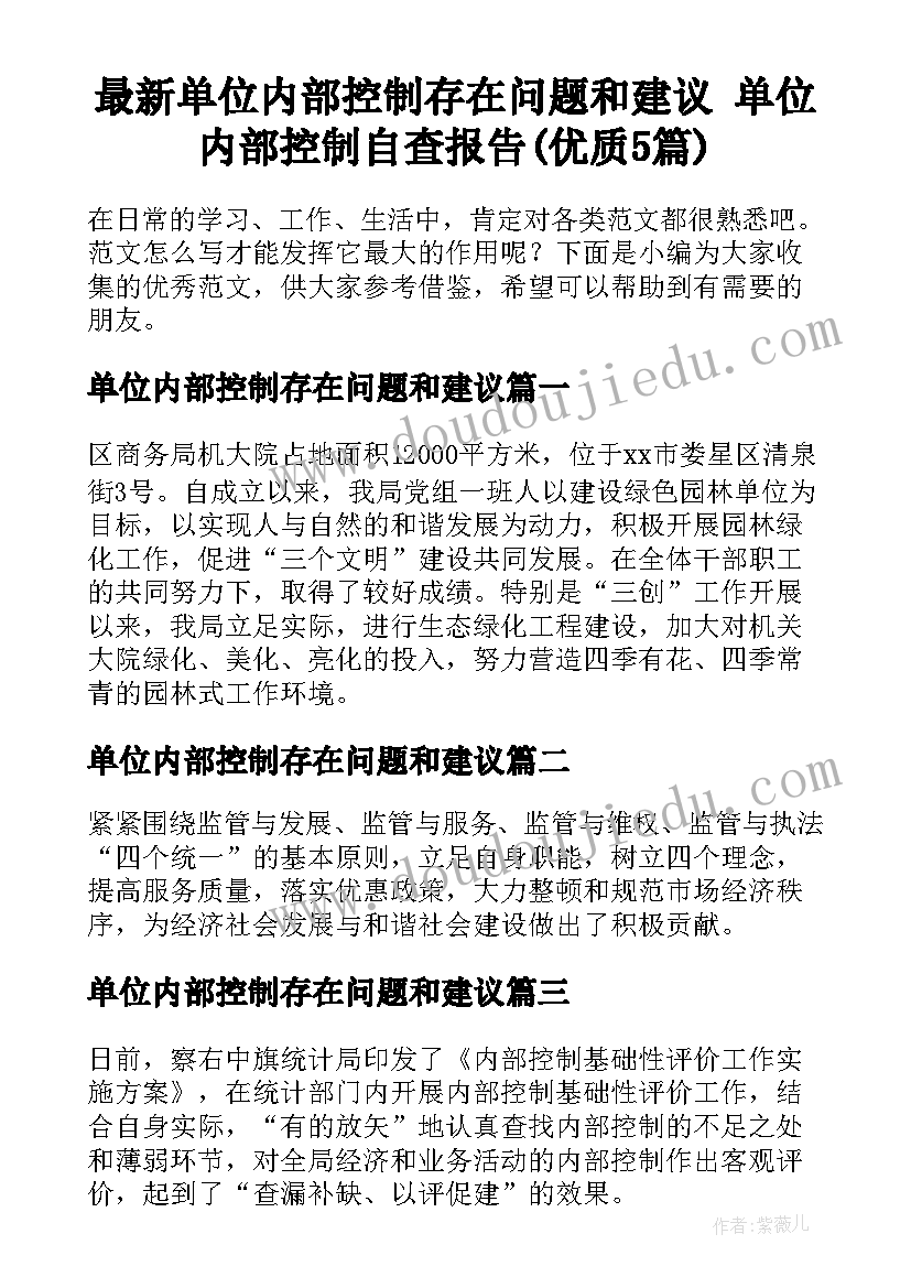 最新单位内部控制存在问题和建议 单位内部控制自查报告(优质5篇)