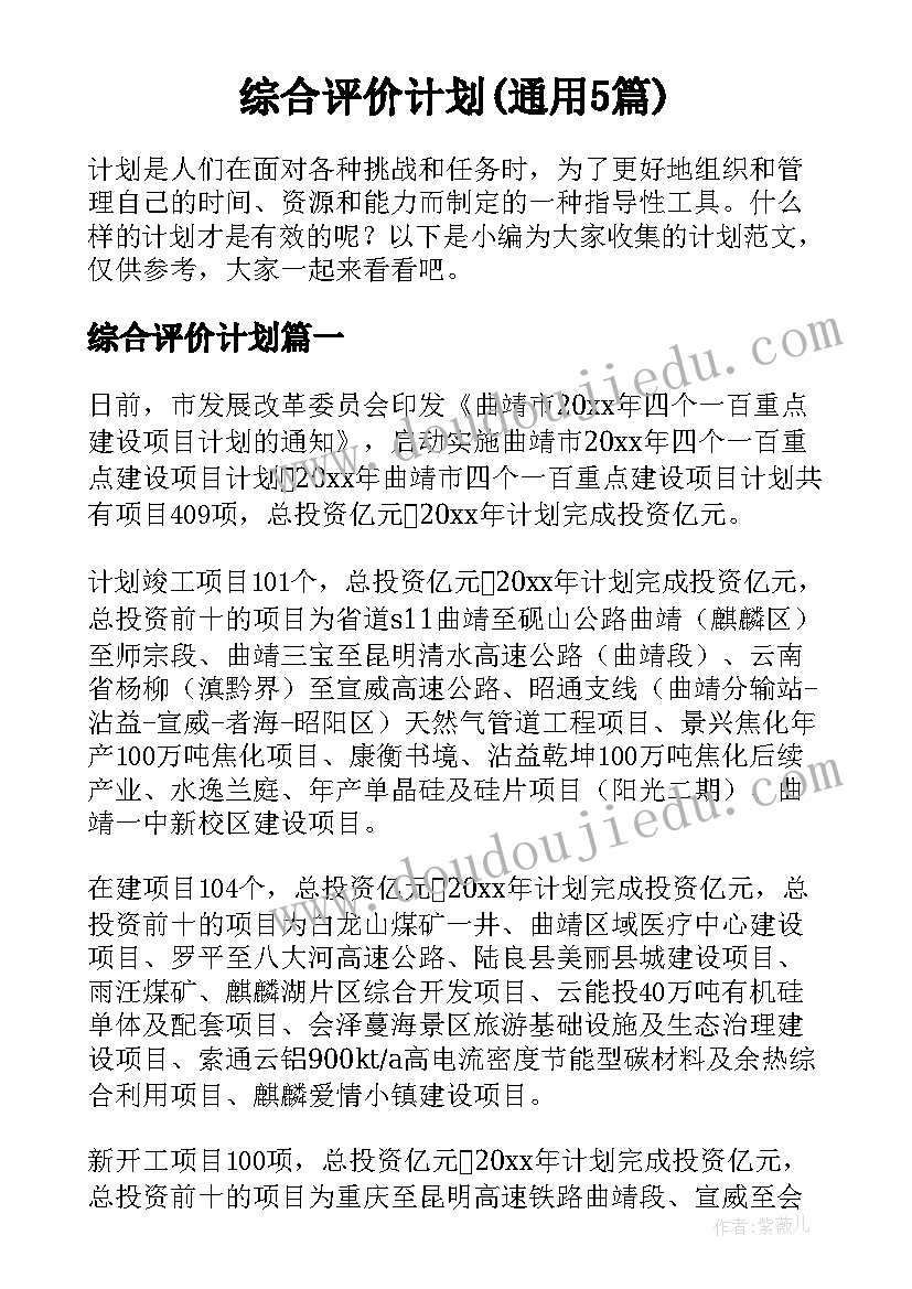 综合评价计划(通用5篇)